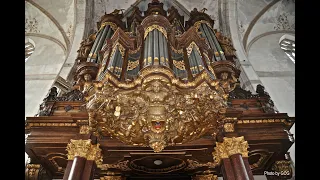J. S. Bach - Chorale “Erbarm dich mein, o Herre Gott”