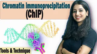 Chromatin immunoprecipitation (ChIP) I Tools & Technique I DNA Protein Interaction (Complete Details