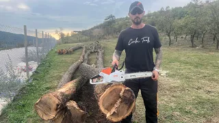 Cutting firewood with Stihl Msa 220-C battery powered chainsaw.(Motofierastrau baterie Stihl.)