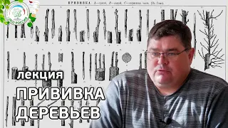 Все о прививках деревьев. Лучшие способы и правила прививки плодовых деревьев.