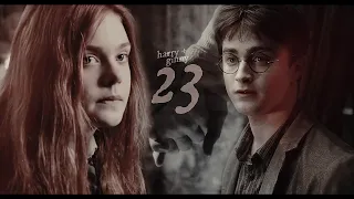 harry + ginny | 23