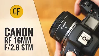 Canon RF 16mm f/2.8 STM lens review with samples