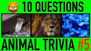 ANIMAL TRIVIA QUIZ #5 - 10 Challenging Animals General Knowledge Trivia Questions and Answers