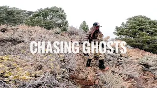 "CHASING GHOSTS" 15 Days ELK Hunting BIG Nevada Public Land Bulls
