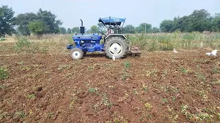 Farmtrac champion 41 HP working on field with cultivator#tractor#viral #farmtrac#trending#farmerlife