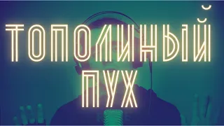 Иванушки International - Тополиный пух (cover by Кристиан Зейн)