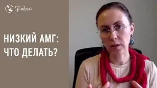 Низкий АМГ: что делать, чтобы активизировать работу яичников? Елена Леонтьева