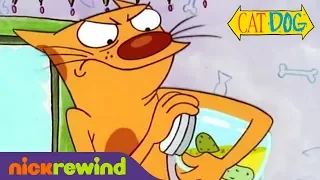 Cat Tries to Hide Dog | CatDog | NickRewind