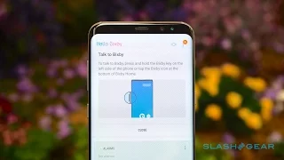 Samsung Bixby on the Samsung Galaxy S8