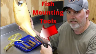 how to mount a largemouth bass series EP1 fish mounting tools