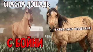 СПАСЛА ЛОШАДЬ С БОЙНИ // РЕАЛЬНАЯ ИСТОРИЯ ЭСМИ /// STAR STABLE ONLINE