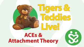 Tigers & Teddies Live! ACEs & Attachment Theory