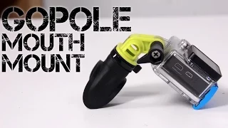 GoPole Mouth Mount