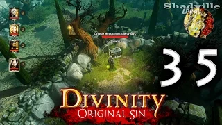 Divinity: Original Sin (PS4) Прохождение #35: Церковное кладбище и кот Эбенезера