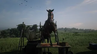 Red Dead Online | Great job guarding the bag, bois 🤣