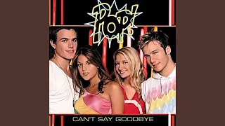 Can't Say Goodbye (Shanghai Surprize Pop Mix)