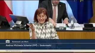 Andrea Michaela Schartel - Förderung von Handwerkerleistungen (2. Wortmeldung) - 24.4.2024