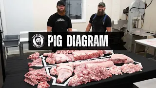 A Visual Guide to the Cuts of a Pig: Learn Where Every Pork Cut Comes From!