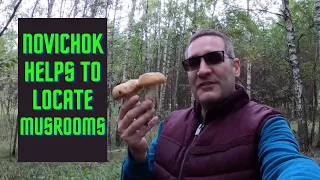 Hunting For Wild Mushrooms in a Russian Forest: Did I Find Any?