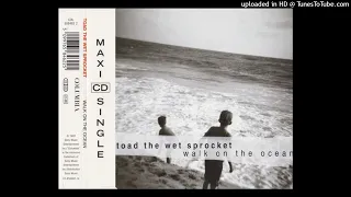 Toad The Wet Sprocket - Walk On The Ocean (Single Remix Version)