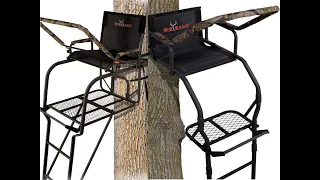 A Tree Stand Comparison