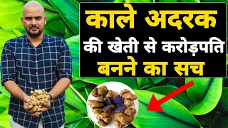 Black Ginger Farming in India | काले अदरक की खेती की पूरी जानकारी | Kala Adrrak Ki Kheti