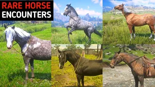 5 Best Rare Horses In Random Encounters With Location - RDR2
