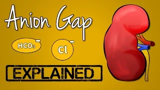 Anion Gap EXPLAINED