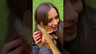 Ревнивица чаузи Астрид и царица Грейс 😼