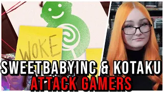 Kotaku DEFENDS Sweet Baby Inc & Calls Gamers STUPID In Hitpiece From Editor-In-Chief Alyssa Mercante