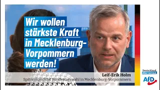AfD persönlich: Leif-Erik Holm zum AfD-Wahlkampf zur Bundestagswahl