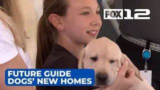 Future guide dogs head home with volunteer puppy raisers