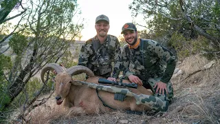 Aoudad Sheep Hunt in Texas - Over 500 Yard Shot!