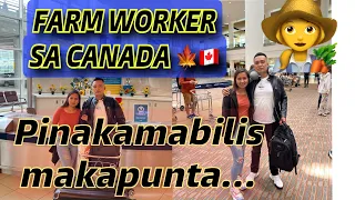 FARM WORKER SA CANADA, ANG PINAKAMABILIS MAKA PUNTA