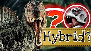 Ist der Spinosaurus ein Hybrid? Wir klären die Faktenlage und finden eine Antwort. #jurassicpark3