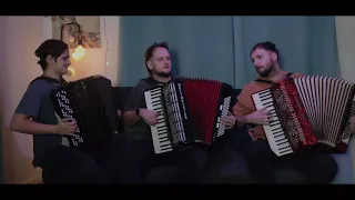 Crazy Accordion Trio - Christmas Song