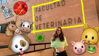 MI NUEVA VIDA COMO UNIVERSITARIA en la Facultad de Veterinaria 🐰🐥🐨