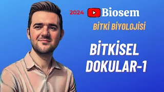 Bitki Biyolojisi | Bitkisel Dokular-1 Konu Anlatımı 12. Sınıf Biyoloji