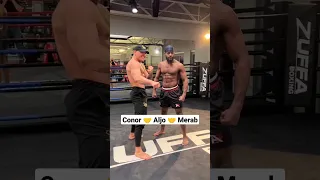 Conor McGregor meets Aljamain Sterling and Merab Dvalishvili 💪 #UFC #MMA #Shorts