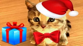 ПРИКЛЮЧЕНИЕ МАЛЕНЬКОГО КОТЕНКА мультик игра котик  на новогоднем празднике #УШАСТИК KIDS