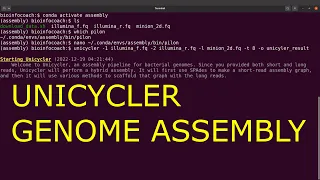 unicycler tutorial  genome assembly