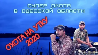 СУПЕР охота на утку в одесской области   2020