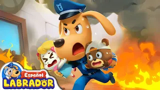 🔍Sheriff Labrador - 🥤Botellas e Incendios ☀️🔥 | Videos para Niños | BabyBus en Español