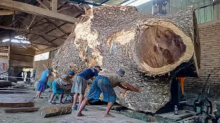 Deadweight 10 tons! Trembesi wood from Tondano, Sulawesi, worth 1.2 billion, was sawn by I Sawmill