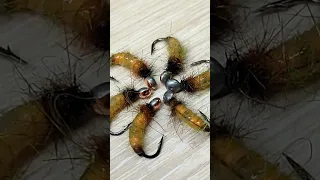 Личинка ручейника реалистичная, caddis pupa