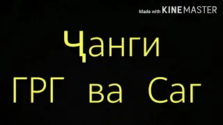 Ҷанги гург ва Саг 8 мард да даруни агарот капиданш