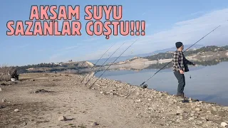 25 Şubat 2024 SAZAN AVI//Akşam Suyu SAZANLAR COŞTU!!!