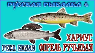 рр4 р.Белая форель +прилов