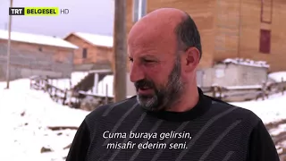 Sürünün Zor Yolculuğu