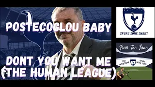 Postecoglou Baby ! (Don’t You Want Me) Tim Wistone